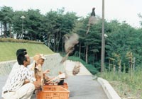 昭和47年より始まったキジ放鳥（写真は昭和55年）
